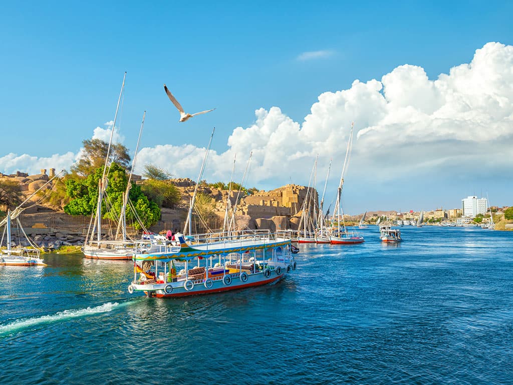 Gallery Image Gallery Image