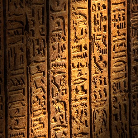 Collage image 1 for about us section